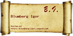 Blumberg Igor névjegykártya